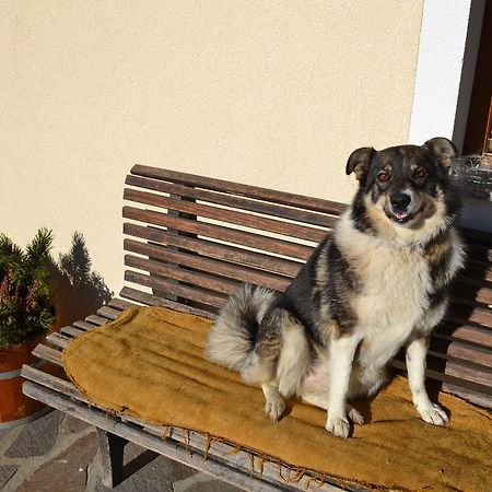 Appartamento Bohrerhof Ahrnbach Esterno foto