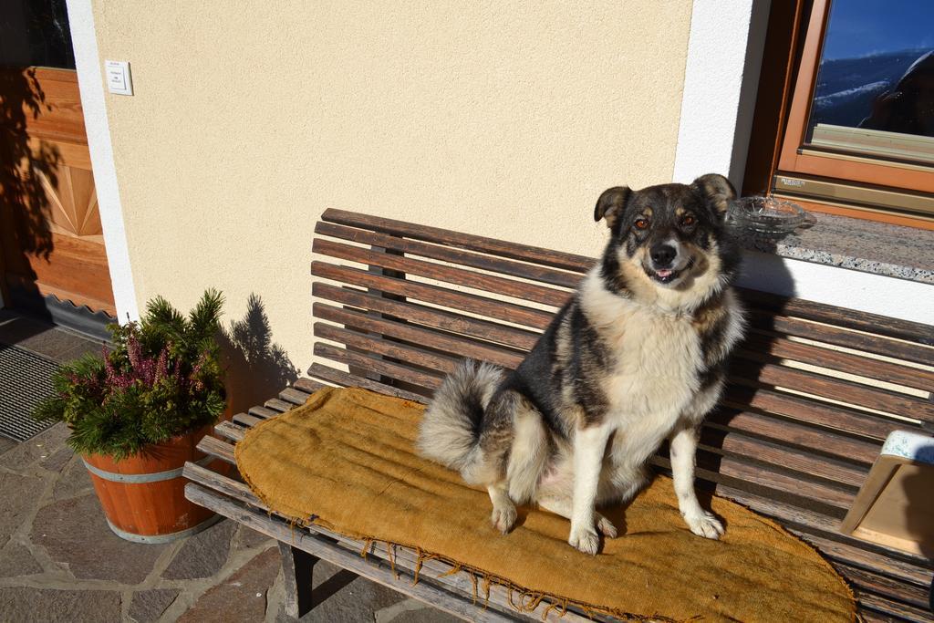 Appartamento Bohrerhof Ahrnbach Esterno foto